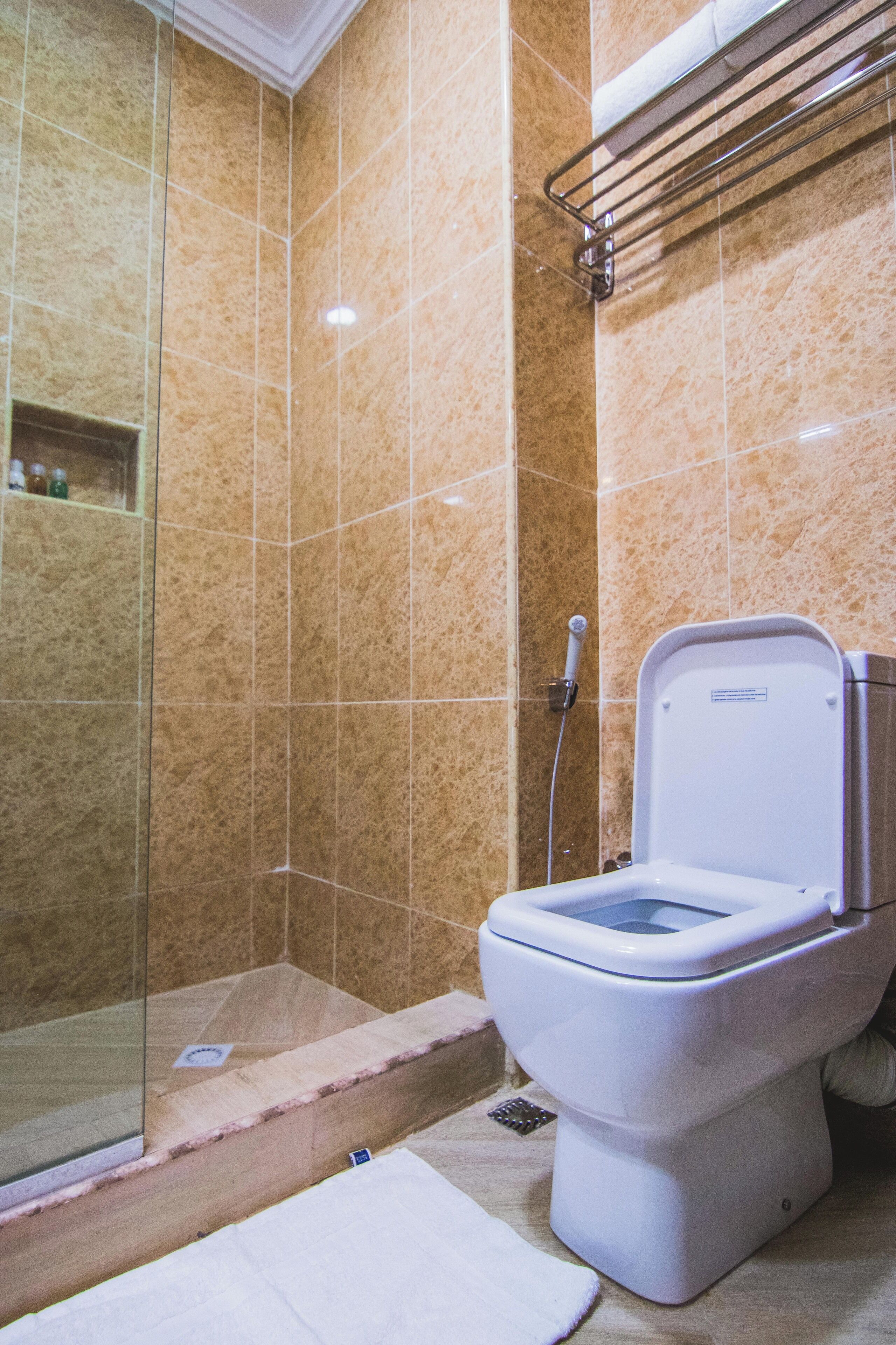 Une salle de bain avec une douche à parois de verre, des toilettes blanches et un porte-serviettes.