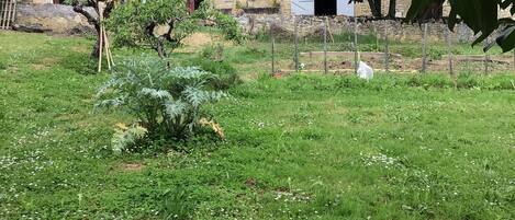 Terrain de lâhĂ©bergement