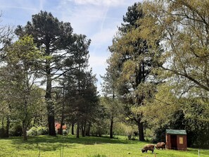 Overnatningsstedets område