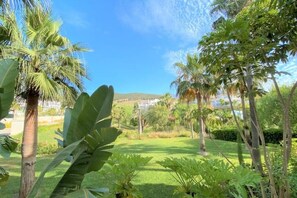 Stroll through our serene garden, surrounded by lush tropical plants and palm trees.
