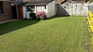 A residential backyard with a well-maintained lawn, a small shed, and a pink flowering bush.