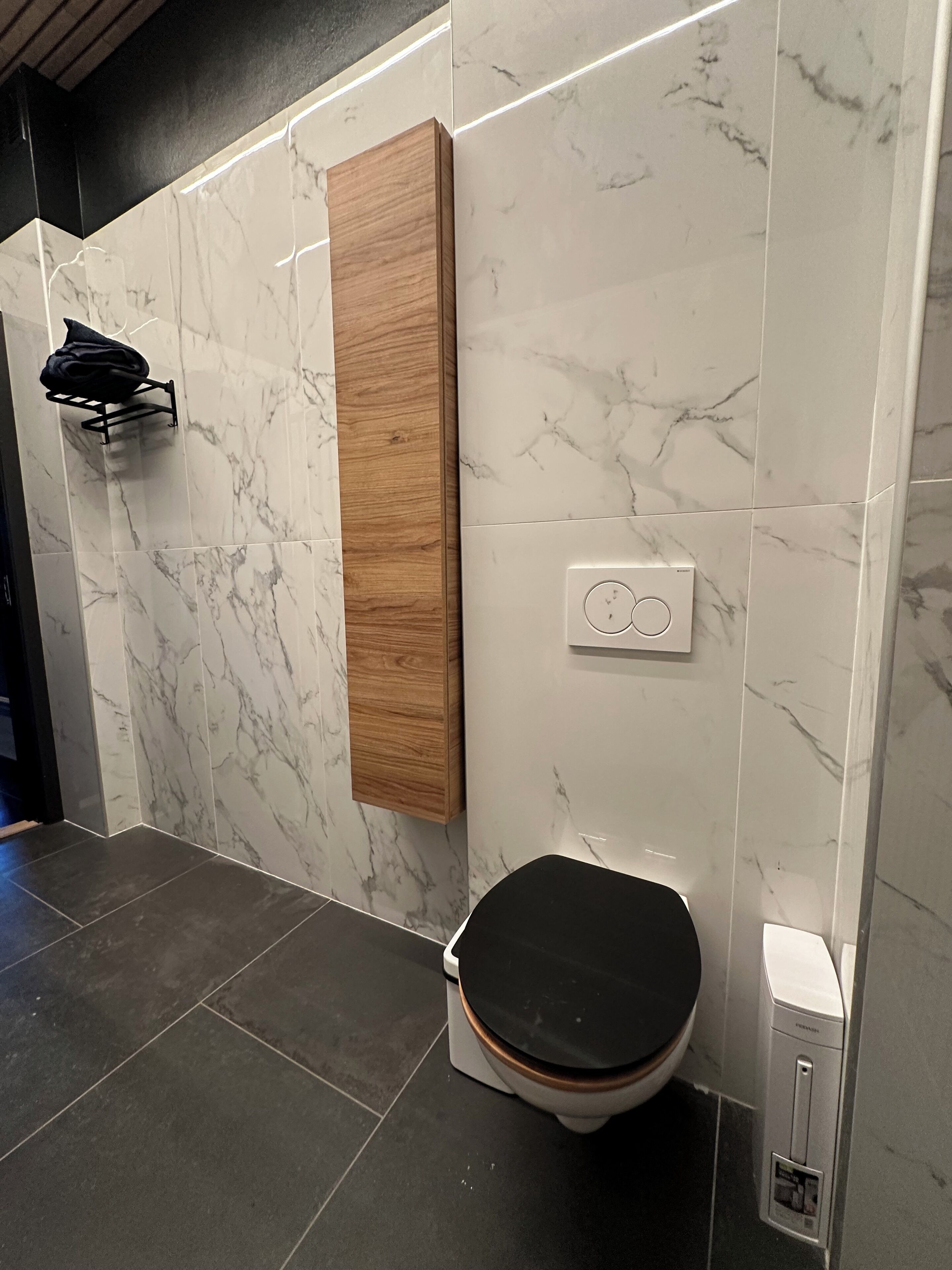 A modern bathroom with a toilet, a wooden panel, and a towel rack.