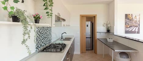 Häämatkahuoneisto, useita makuuhuoneita, vuorten lähellä (Serene Retreat Apartment Martin) | Yksityinen keittiö | Jääkaappi, uuni, liesi, astianpesukone