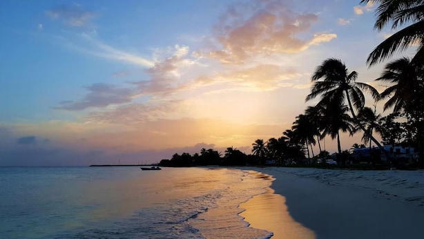 A beach with palm trees and a calm sea at sunset. - Lodge Wanalao - 4 rooms (Sainte-Anne)