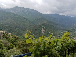 Sacada