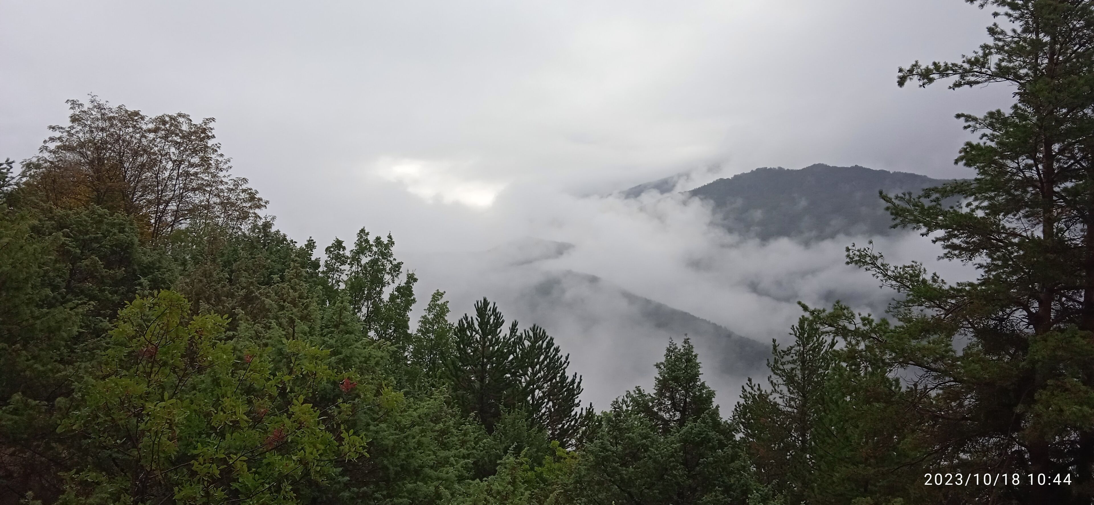 Eine bewaldete Berglandschaft mit dichten Bäumen und einem Berg, der teilweise von Wolken verdeckt ist.