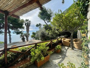 Un espace extérieur abrité, doté d'une rambarde en bois, de plantes en pot, de meubles en osier et offrant une vue sur la mer.