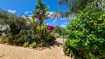 Área da propriedade