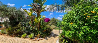 Quarto Privado Numa Encantadora Quinta Acima de Silves