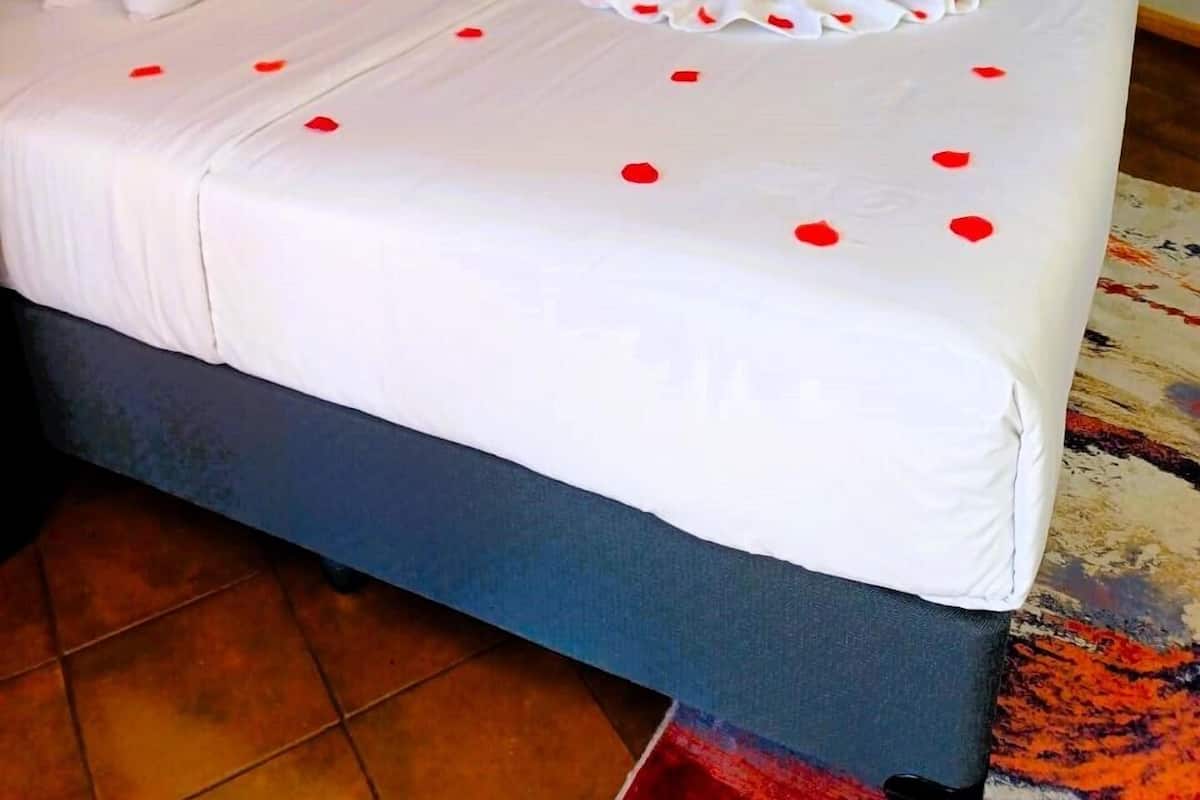 Executive Room | Free WiFi