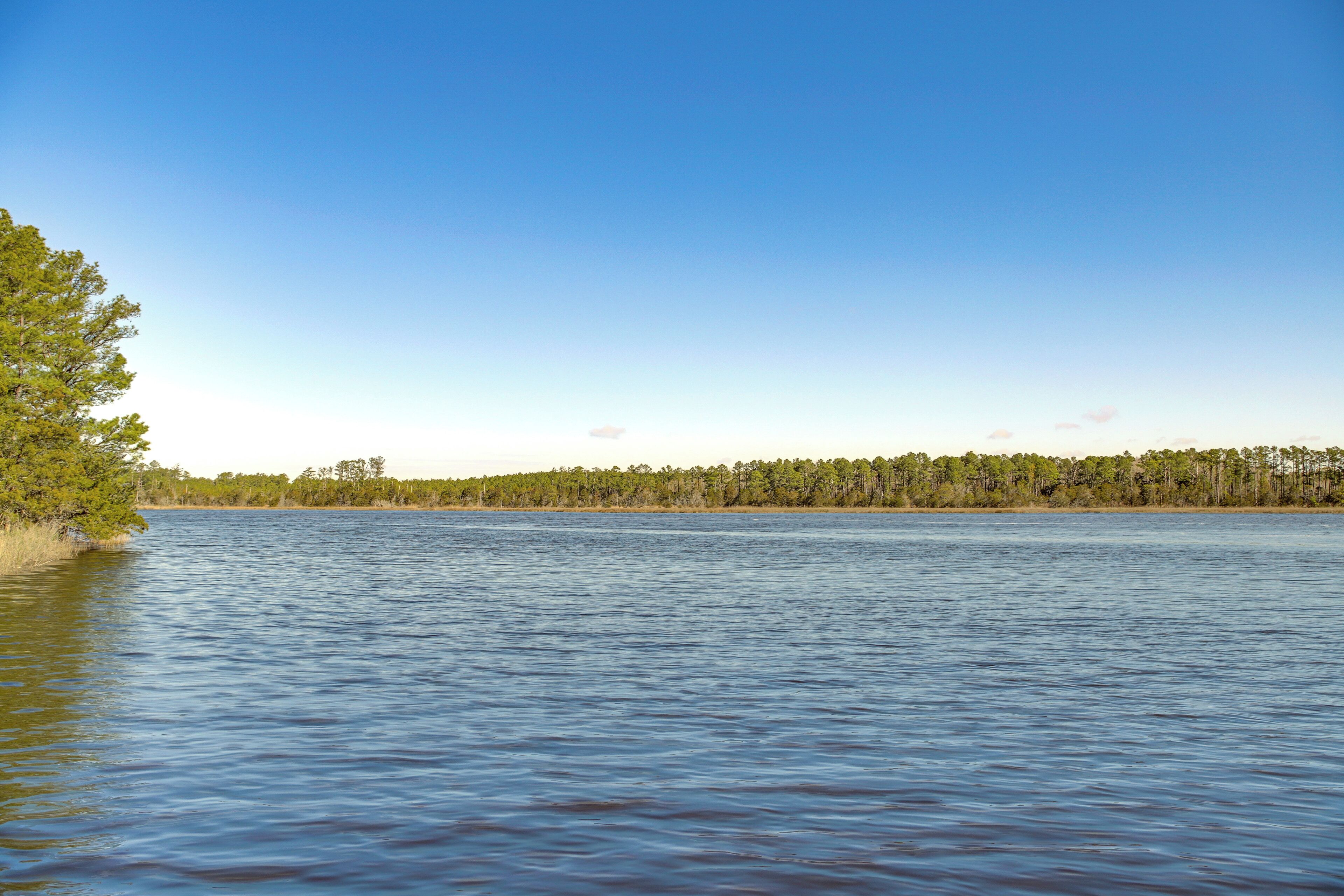 A calm lake with a forested shoreline.