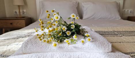 1 dormitori, planxa i posts de planxar, wifi i roba de llit