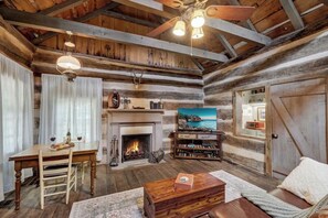 Smart TV, fireplace, books