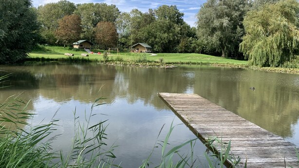 A serene lakeside setting with a wooden dock extending into the water, surrounded by lush greenery and trees. - Luxe Safaritent, Midden in de Natuur (Hensbroek)