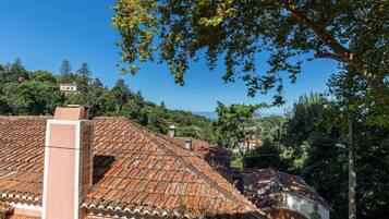 Classic Room, 1 Queen Bed, Mountain View, Annex Building | View from room