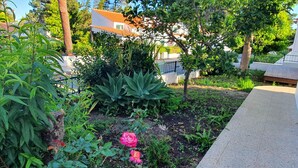 A garden with various plants and a pink flower in the foreground.