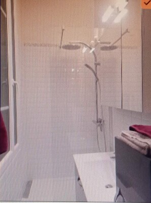 Ducha, secador de pelo y papel higiénico