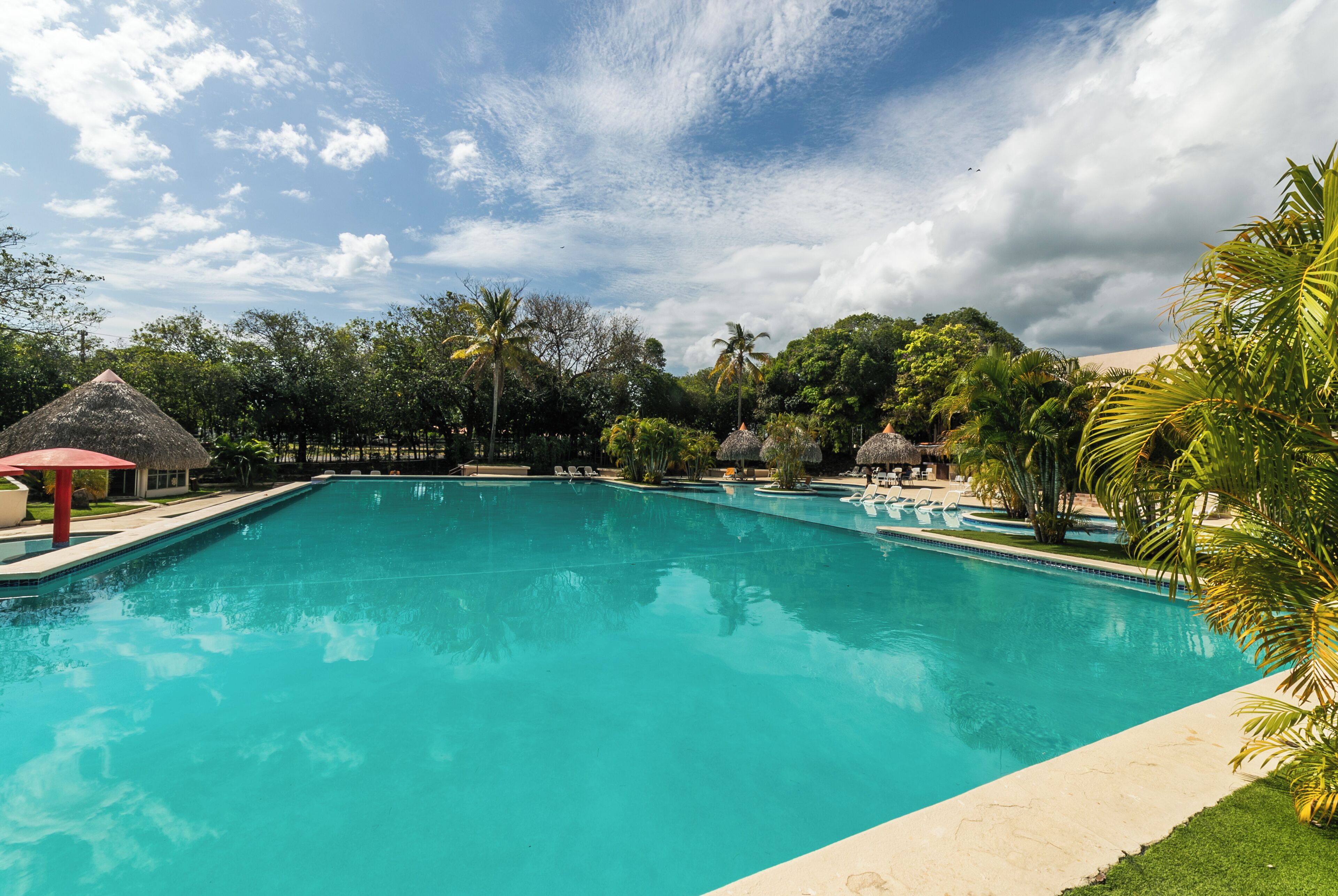 Une grande piscine aux eaux cristallines, bordée de chaises longues et d’ombrelles, et entourée d’une végétation luxuriante et de palmiers.