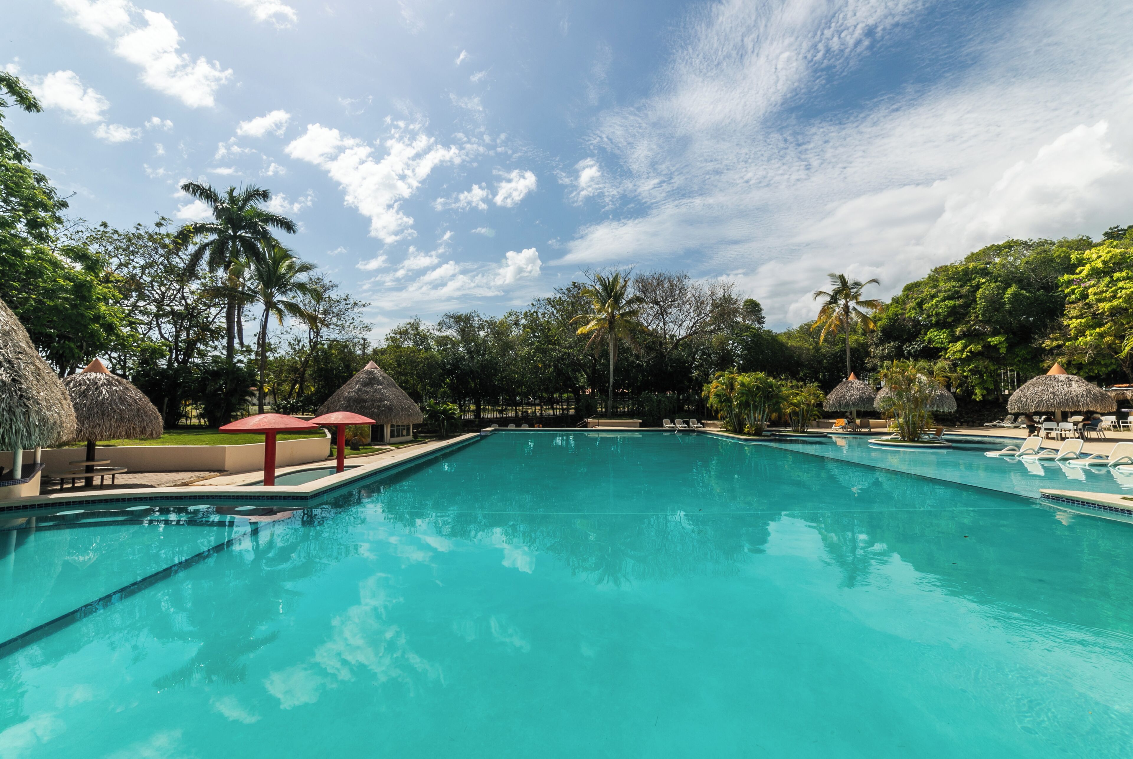 Ein Swimmingpool mit Liegestühlen und Strohdächern, umgeben von Palmen und viel Grün.