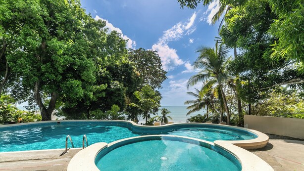 Una piscina con vistas al océano, rodeada de abundante vegetación.