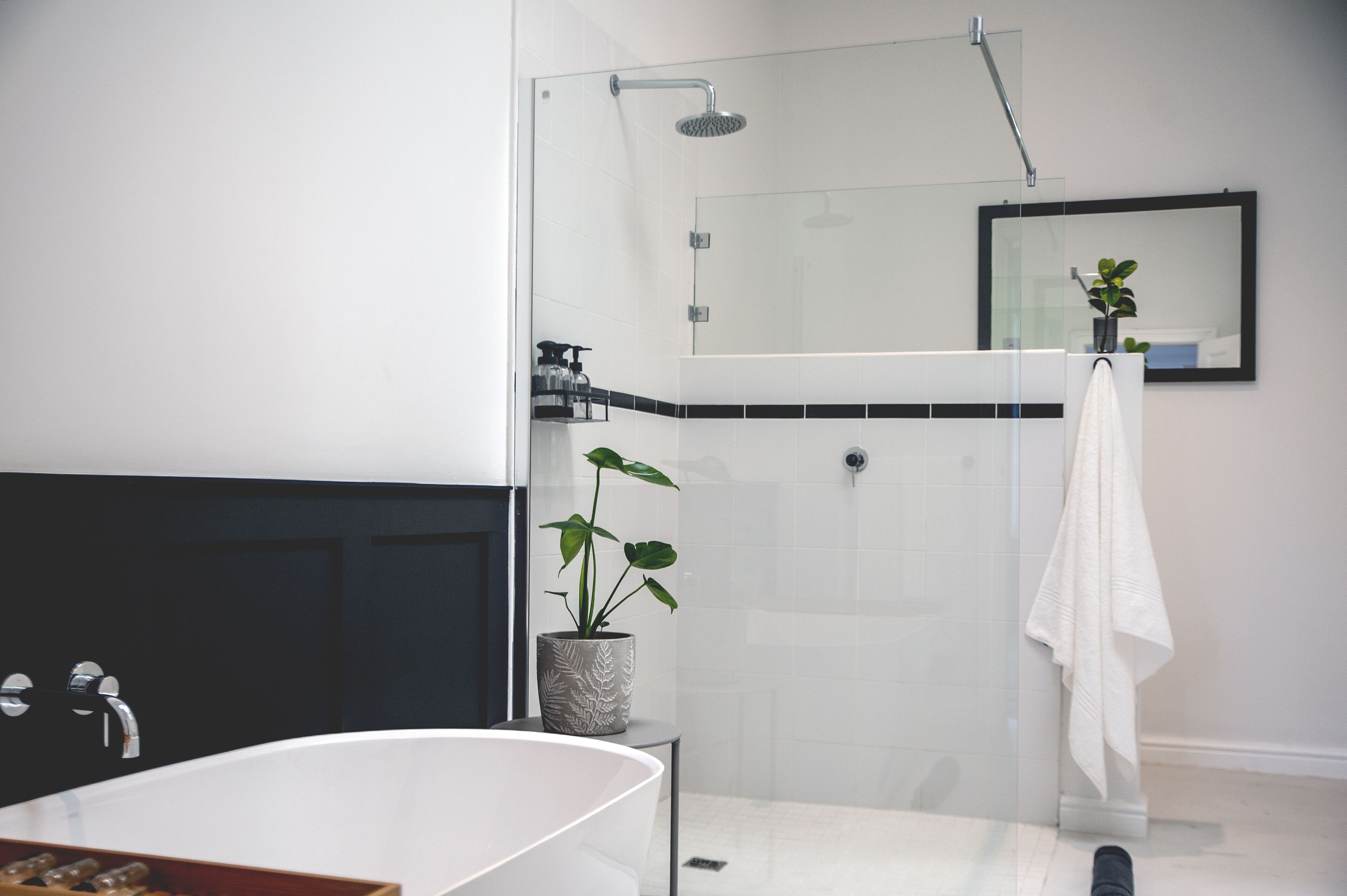 A modern bathroom with a freestanding bathtub, a glass-enclosed shower, and a potted plant.