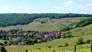 A rural village with houses and vineyards, surrounded by rolling hills and a wind turbine.