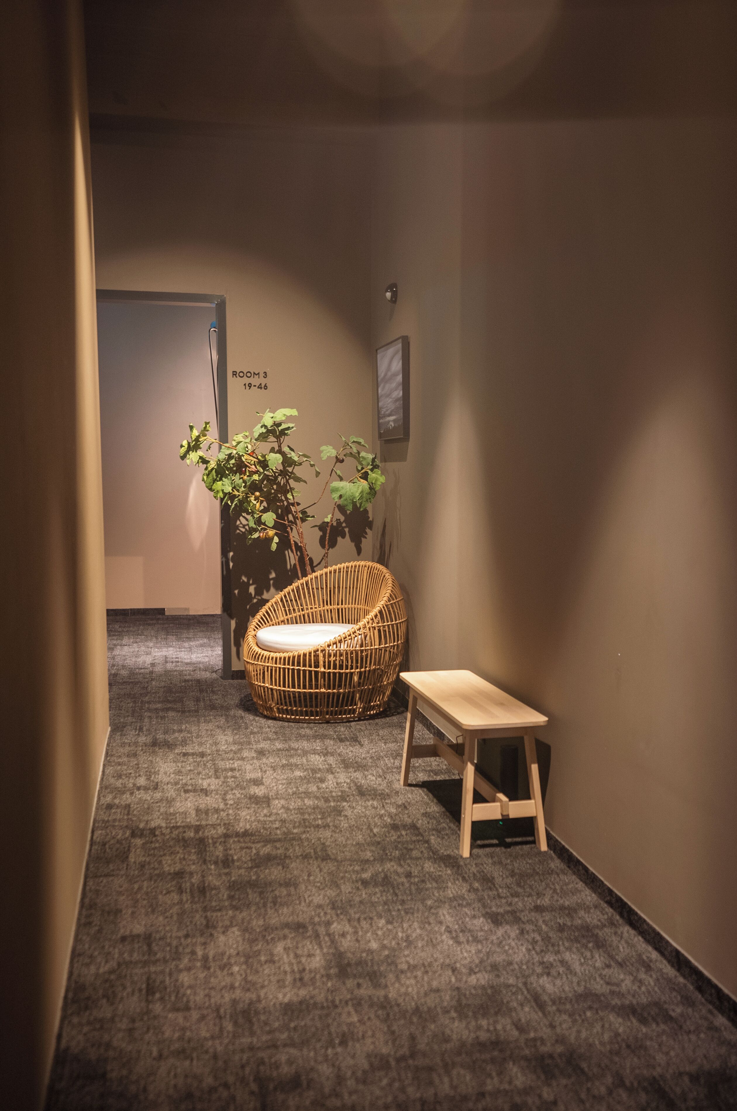 Photo - Nordic Hostel