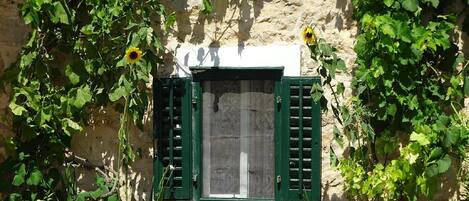 Details aan de buitenkant