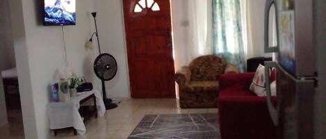 Smart TV, DVD player, books