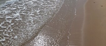 Rent Apartment by the sea in Bulgaria, Sveti Vlas, Fort Noks Prestige