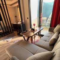 Basic Apartment, 1 King Bed, Valley View | Living area | 102-inch TV with satellite channels, fireplace