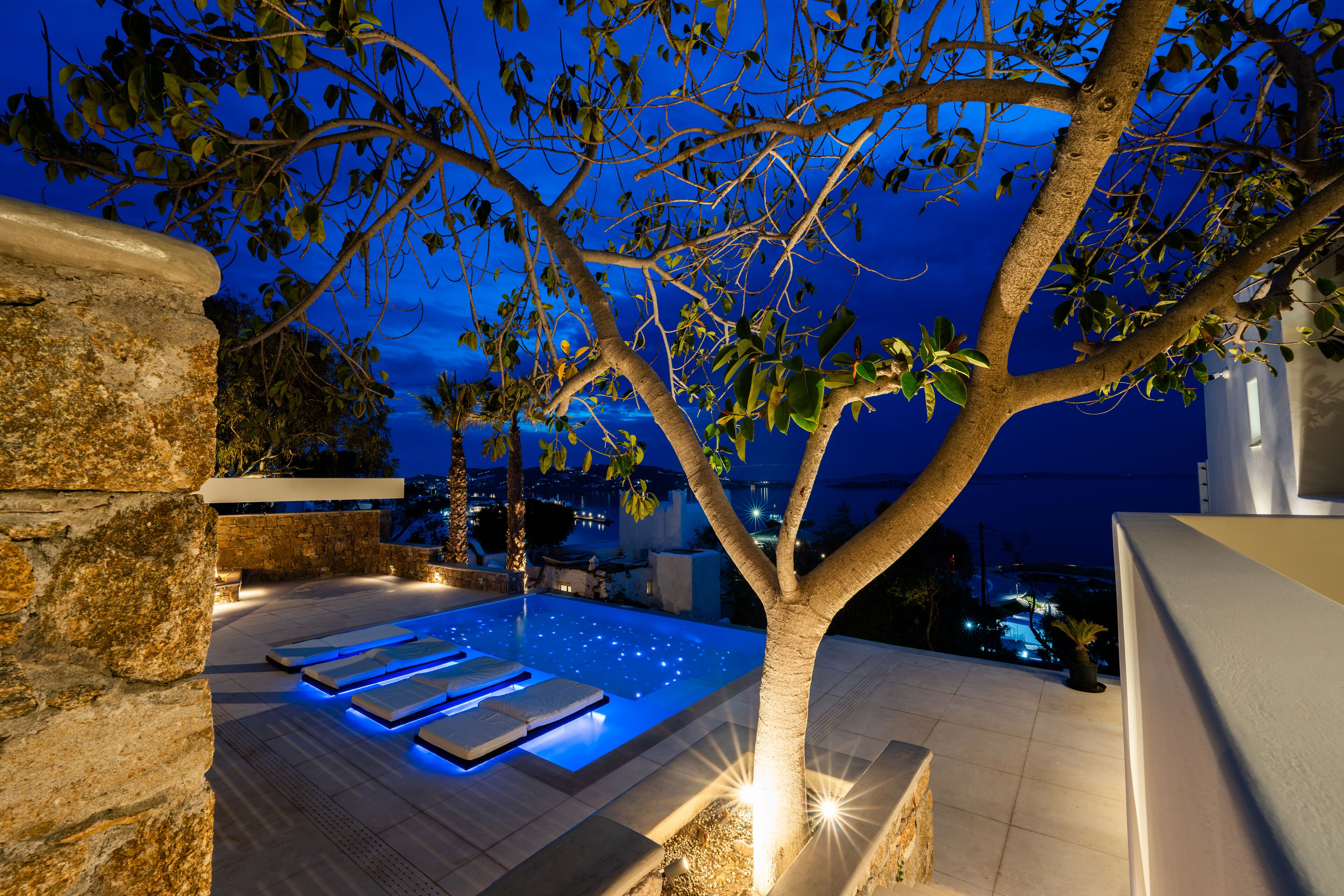 A rooftop infinity pool with a tree and stone walls.