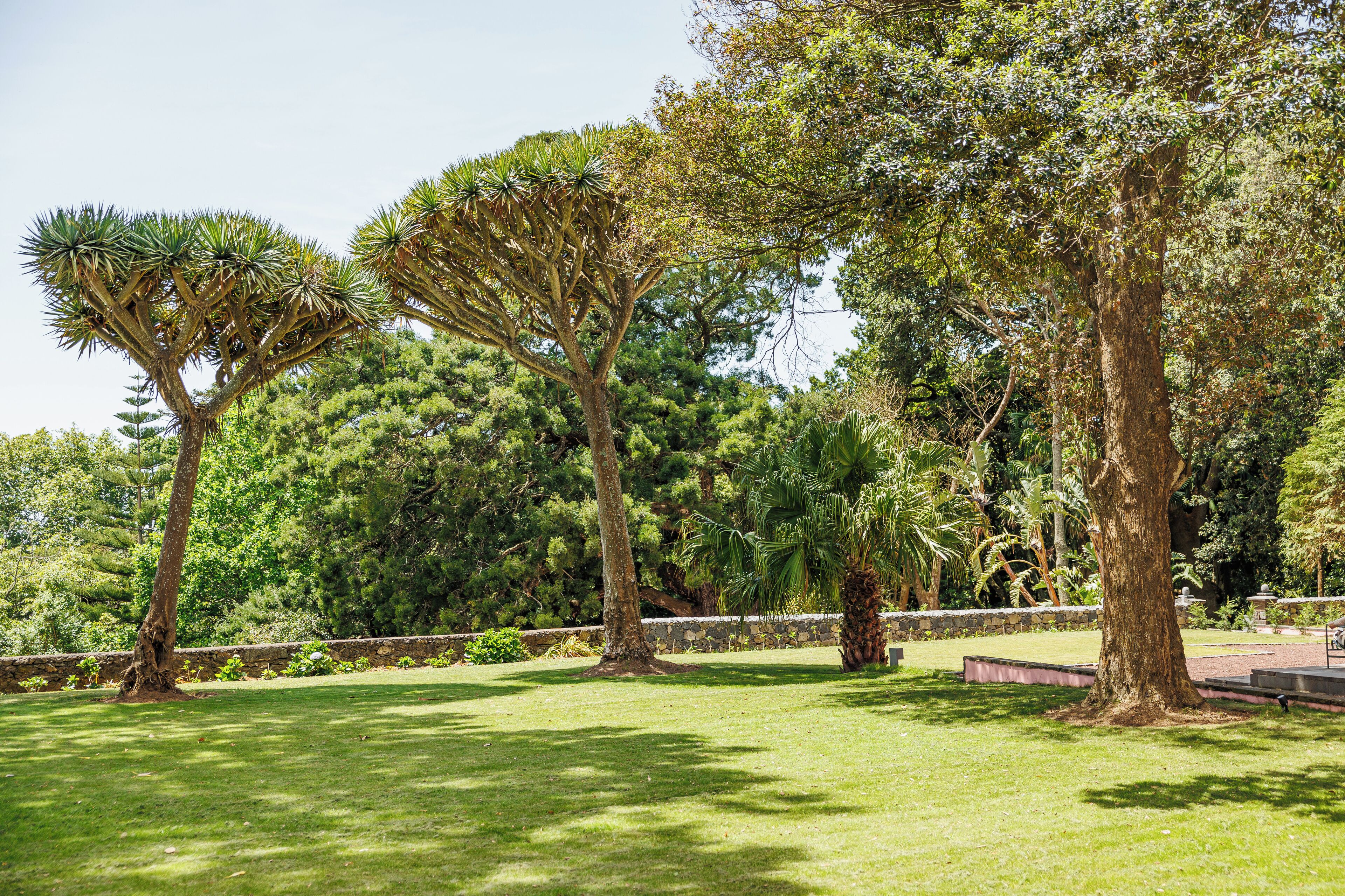 Foto - Solar dos Cantos Botanic House & Garden