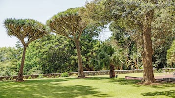 Jardim