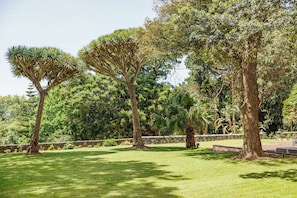 Garden - Solar dos Cantos  (Ponta Delgada)