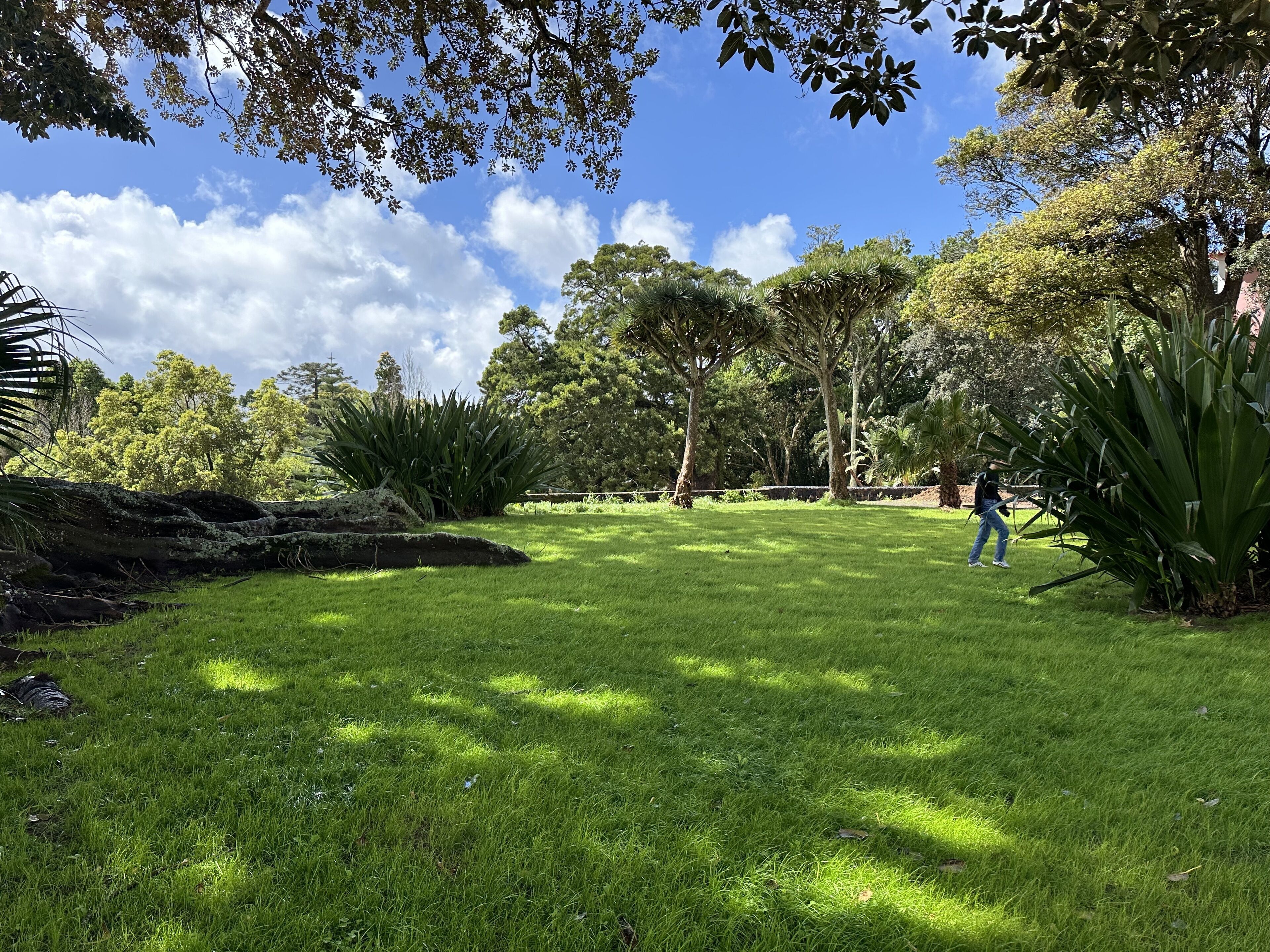 Foto - Solar dos Cantos Botanic House & Garden