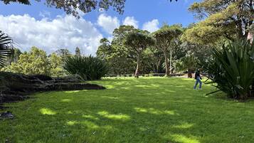 A well-maintained grassy area with trees and a person using a leaf blower.