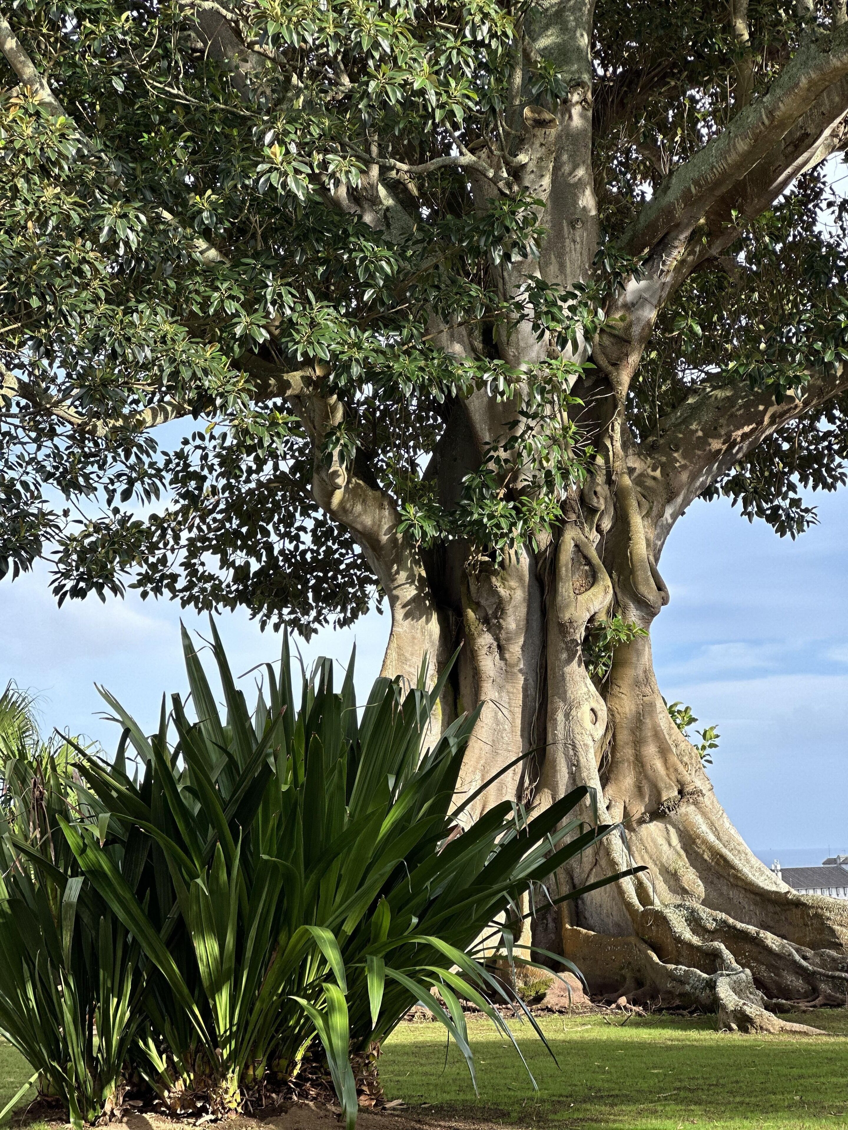 Foto - Solar dos Cantos Botanic House & Garden