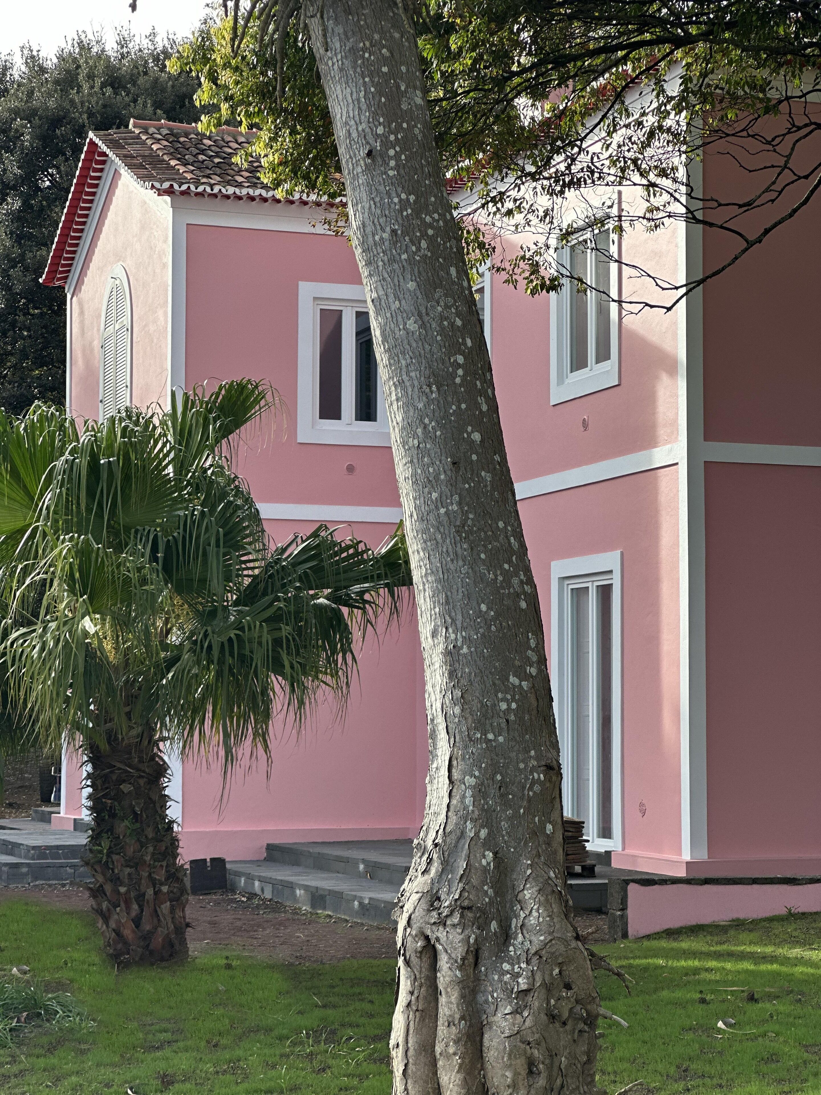 A pink building with a tree in the foreground, a window, and a door.