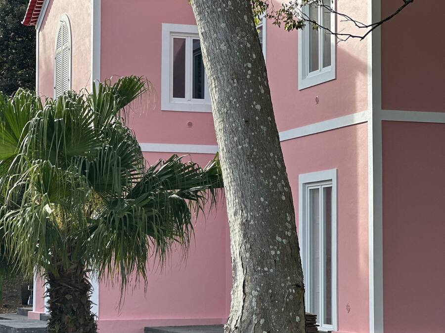A pink building with a tree in the foreground, a window, and a door.