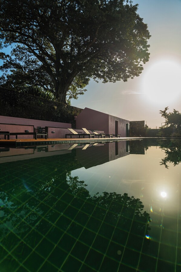 A serene pool area with clear reflections, a large tree, and a modern building with a purple facade. - Solar dos Cantos Botanic House & Garden (Ponta Delgada)