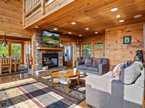 TV, fireplace, video games, DVD player