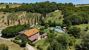 A large house with a swimming pool, surrounded by lush greenery and olive trees. - Il Pratone 12, Emma Villas (Pomarance)