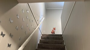 Una escalera con barandilla blanca y un muro decorado con recortes de mariposas.