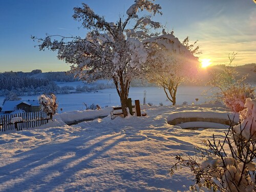 Ferienwohnung im Allgäu mit direktem Blick auf den Hochgrat in ruhiger Lage!