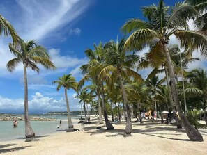 A beach with palm trees and a clear sky.