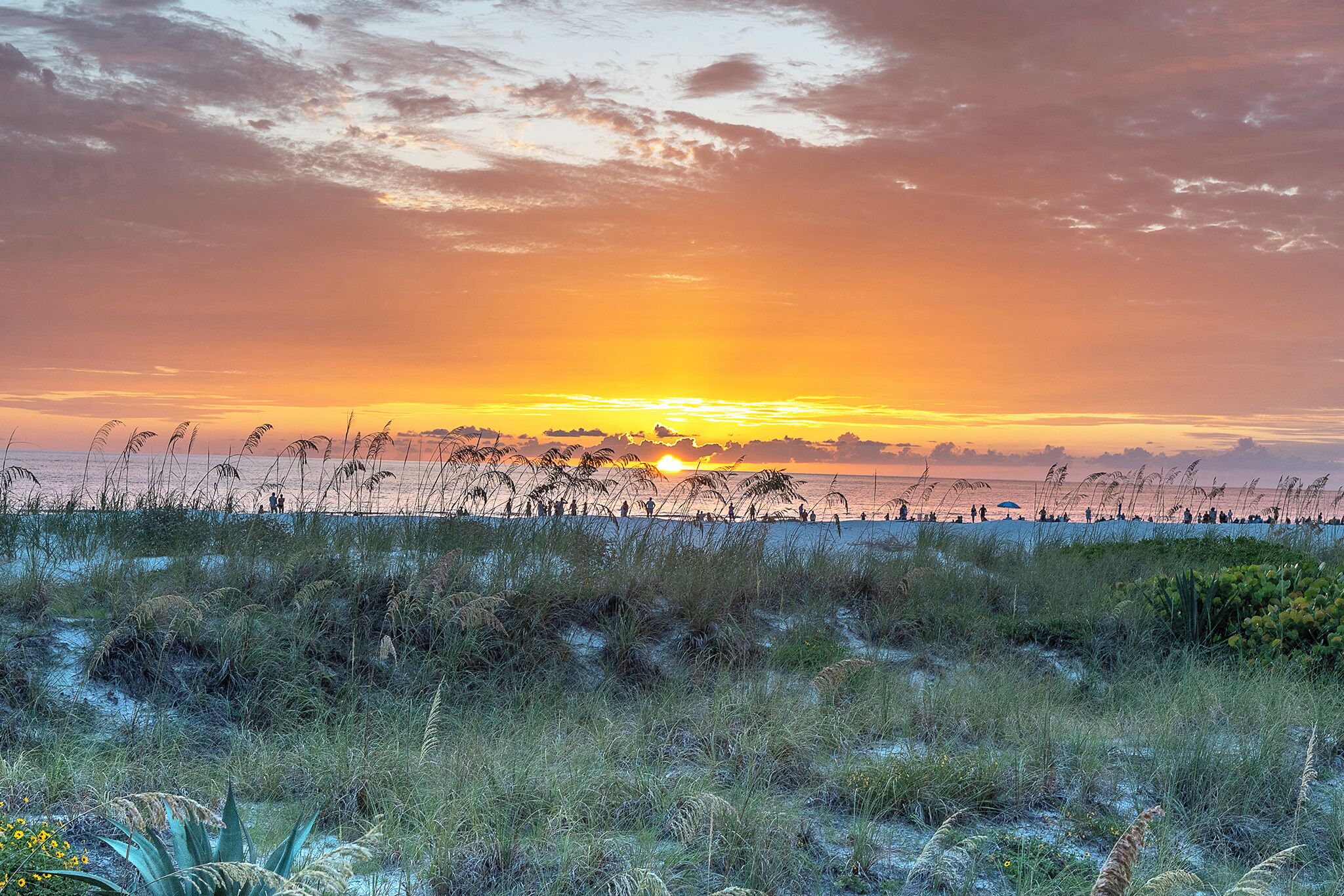 Sun-loungers, beach towels