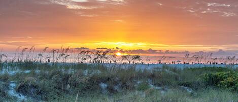 Sun-loungers, beach towels
