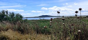 Property grounds - calm and sunny summer house nested in a lush pine garden 800m to the beach. (Agde)