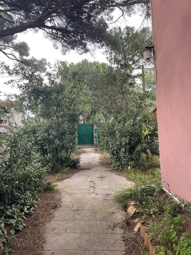 calm and sunny summer house nested in a lush pine garden 800m to the beach. 